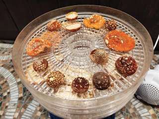 Мухоморы сушеные