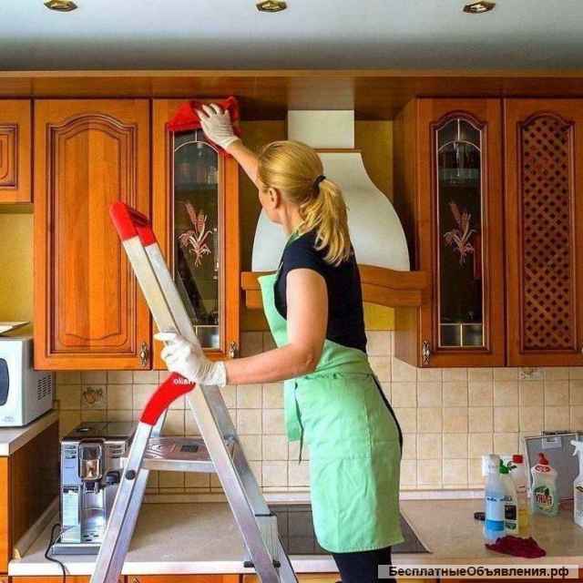 Уборка квартир в Жуковском. Офисов, домов, мойка окон, витрин
