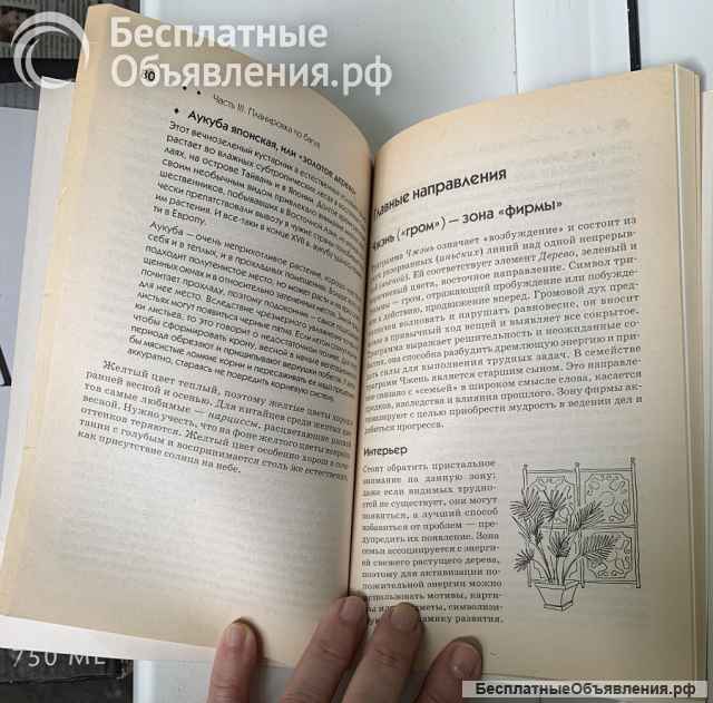 М. Николаева, Ю.Тарасова. Растения в офисе