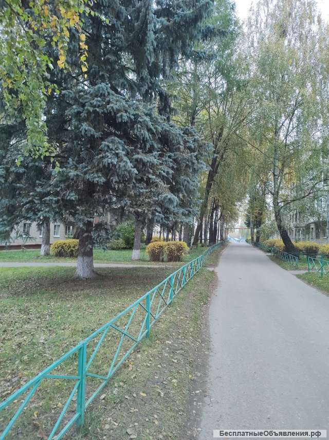 2к.квартира в пос. Васькино