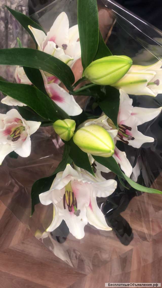 Ищу массажистов