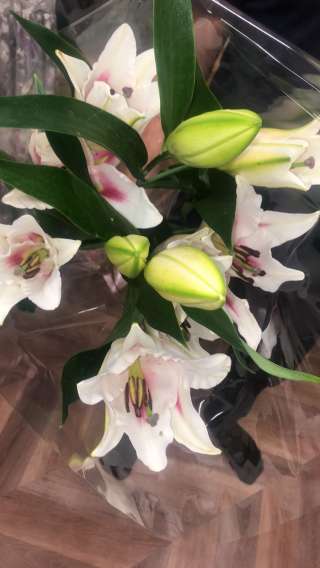 Ищу массажистов