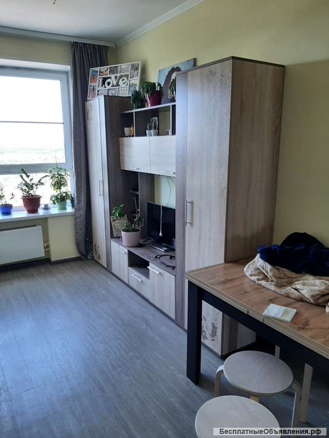 Евродвушка