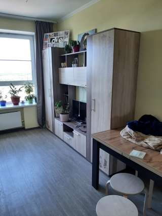 Евродвушка