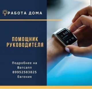 Помощник руководителя