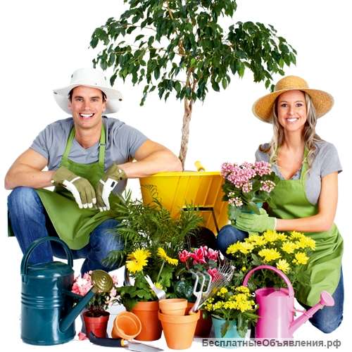 Семейная пара. пос. Вешки