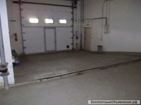 Сдам помещение свободного назначения
