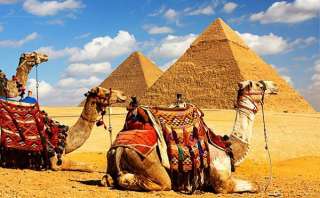 Туры в Египет по выгодным ценам