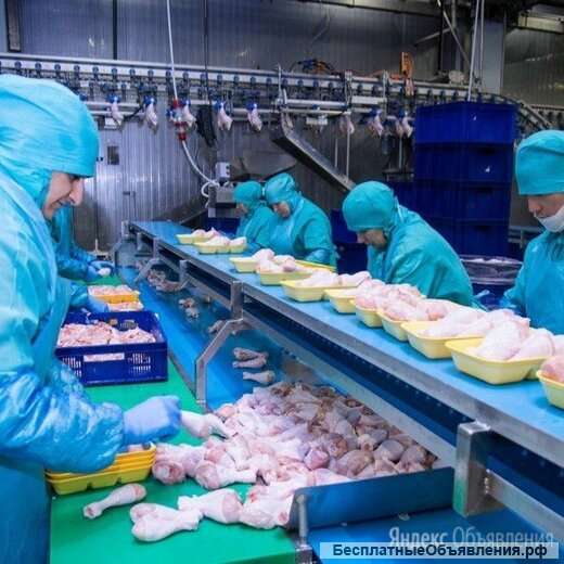 БОРТПИТАНИЕ Аэропорт Внуково