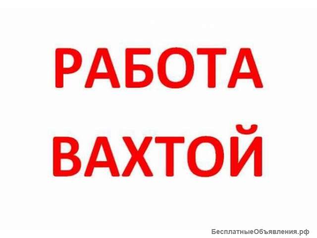 Грузчики
