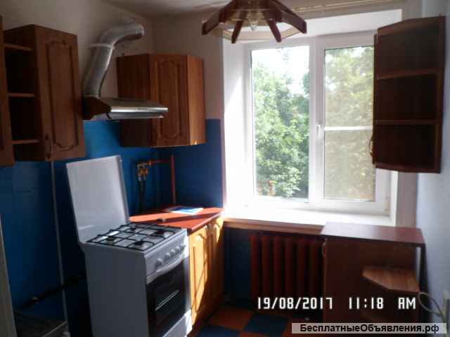 Сдам 1 к.кв. м. пр. Ветеранов. Лучшее место.