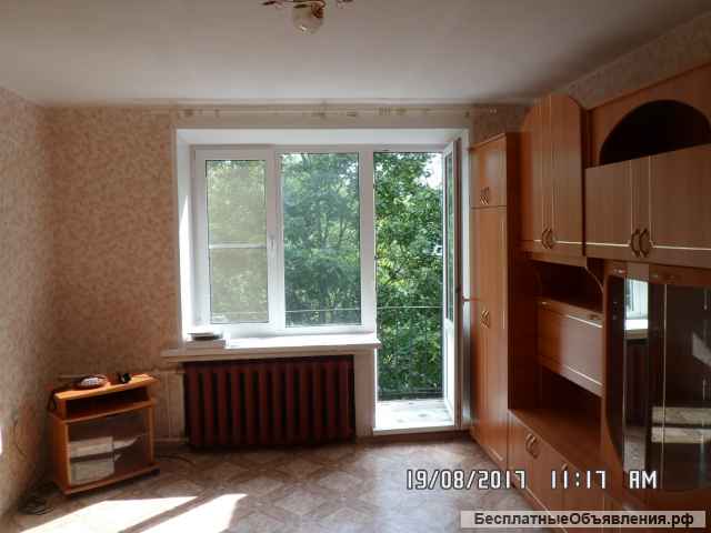 Сдам 1 к.кв. м. пр. Ветеранов. Лучшее место.