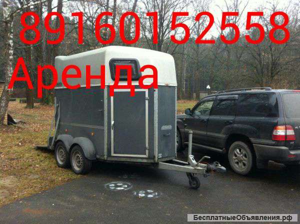 Аренда коневозки