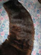 Воротник норка