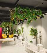 Оформление витрин и интерьеров в Крыму. Тематические фотозоны, украшение выставочной зоны.