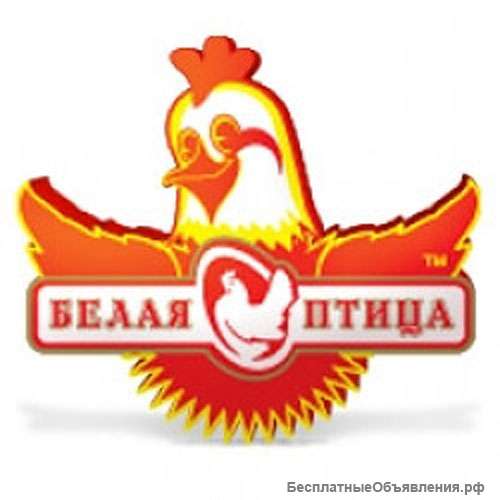 ВАХТА Белгородская область
