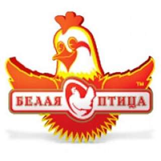 ВАХТА Белгородская область