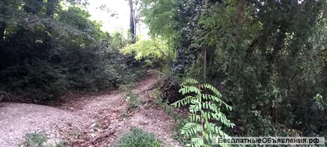 Земельный участок 5,2 сот В Сочи