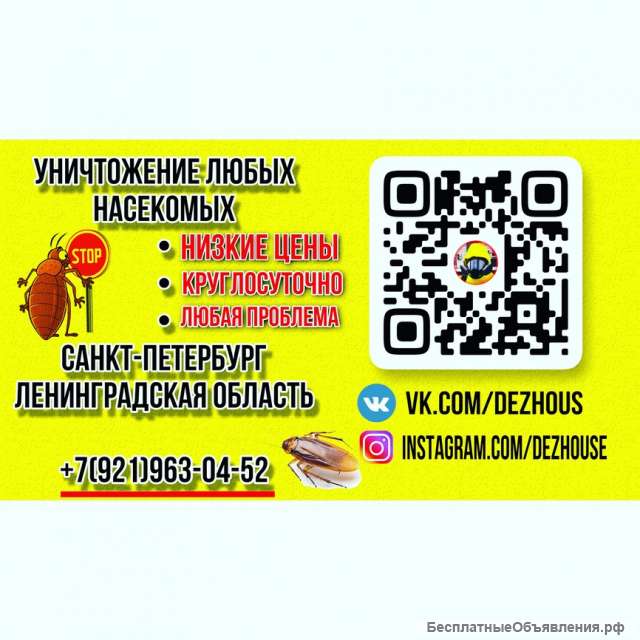 Уничтожение клопов и тараканов СПБ И Ленинградской области