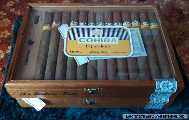 Кубинские витолы. Cohiba Esplendidos.