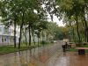 Куплю комнату в Центре, на Пушкинской или Большой Садовой