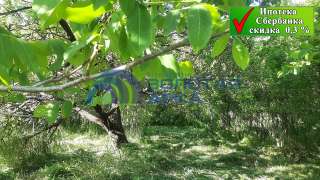 Земельный участок 5 сот