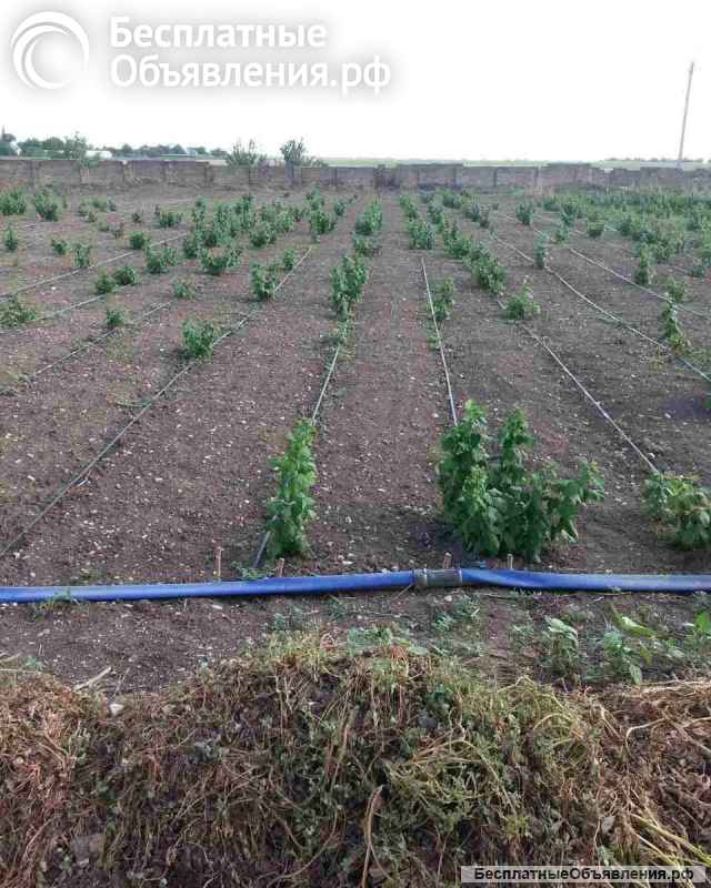 Помощник в частное фермерское хозяйство