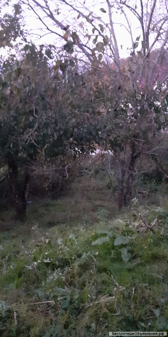 Сказочное место