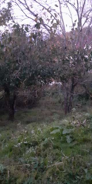 Сказочное место