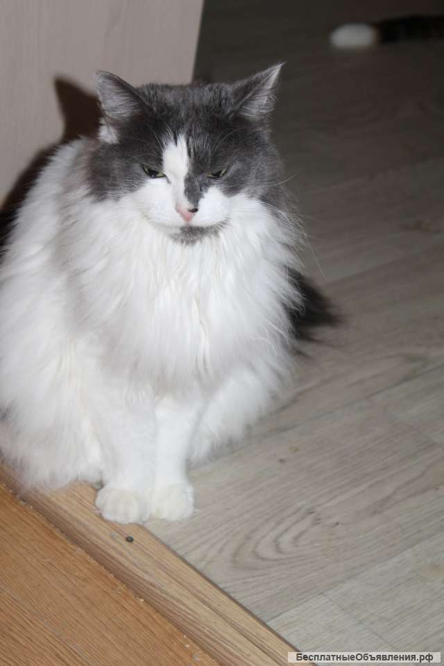 Нежная скромница Николь ищет свое счастье