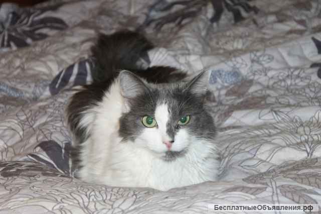 Нежная скромница Николь ищет свое счастье