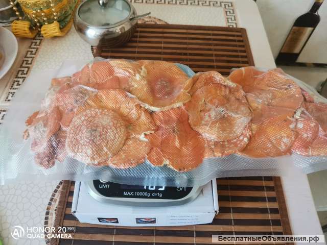 Сухие мухоморы