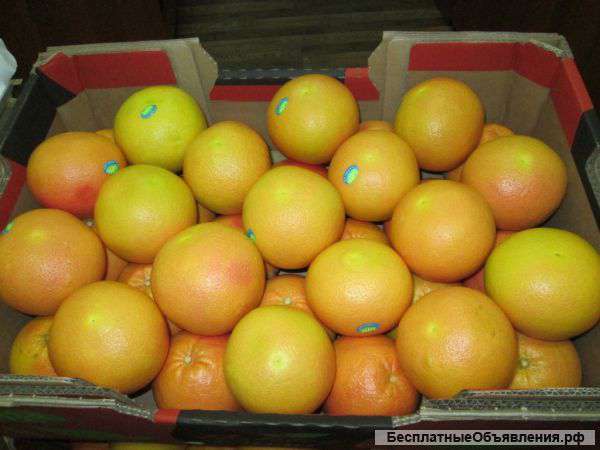 Мандарины Краснодарский Край