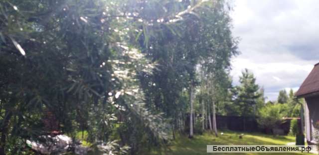 Ухоженная, теплая дача
