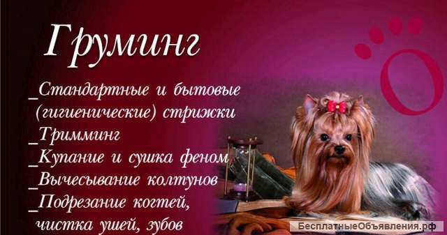 ГрумЛюкс работает с моделями
