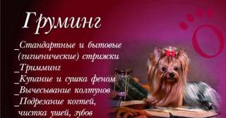 ГрумЛюкс работает с моделями