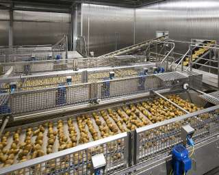 Работа в Европе на Производстве картофеля фри. 1000 евро