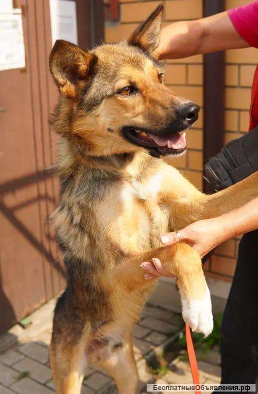 Помогите Мускату найти дом