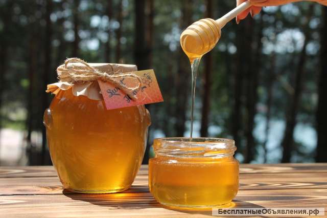 Мёд с пасеки Котовых