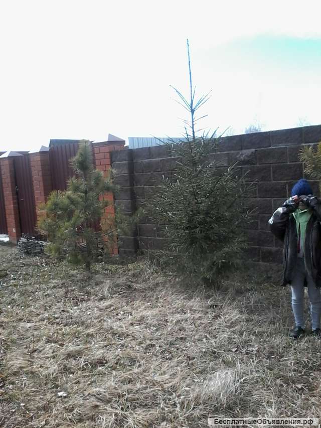 Участок ижс