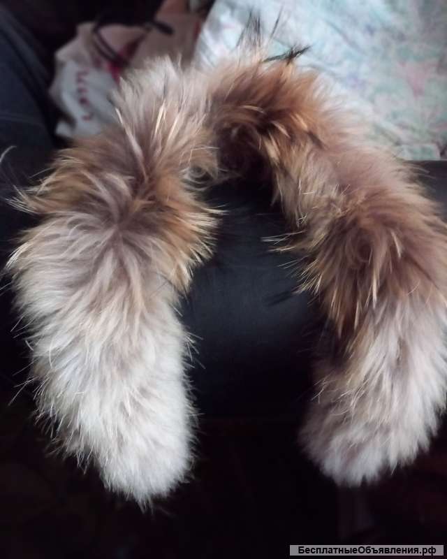 Лисий воротник опушка