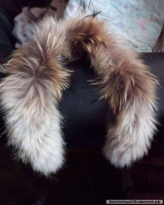 Лисий воротник опушка