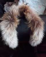 Лисий воротник опушка