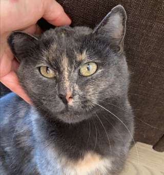 Красавица и ласкуша, 2 года