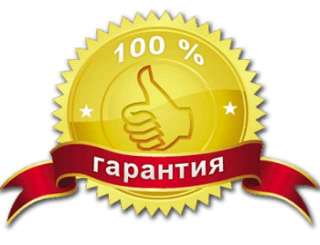 Реальная финансовая помощь от частного лица в день обращения