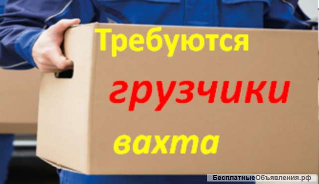Требуется грузчик в фармацефтическую компанию, вахта с проживанием
