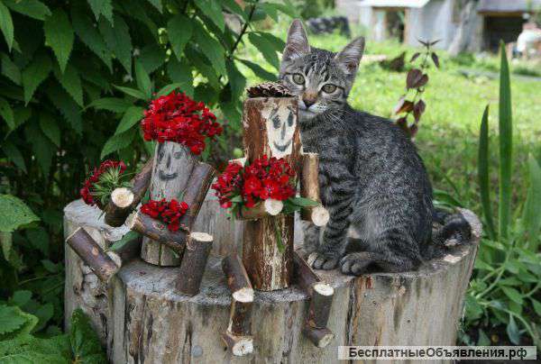 Отдам в очень хорошие руки