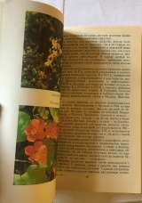 В.С. Михайлов, Н.П. Могильный, Л.А. Трушкина. Пища простая и полезная