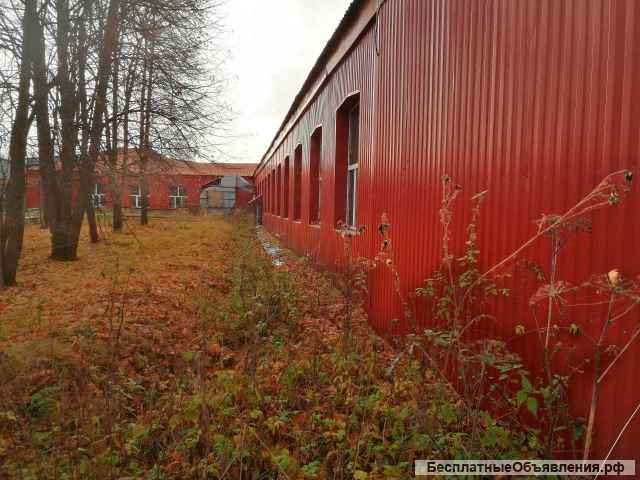 Здание свободного назначения. Возможен Торг на месте.