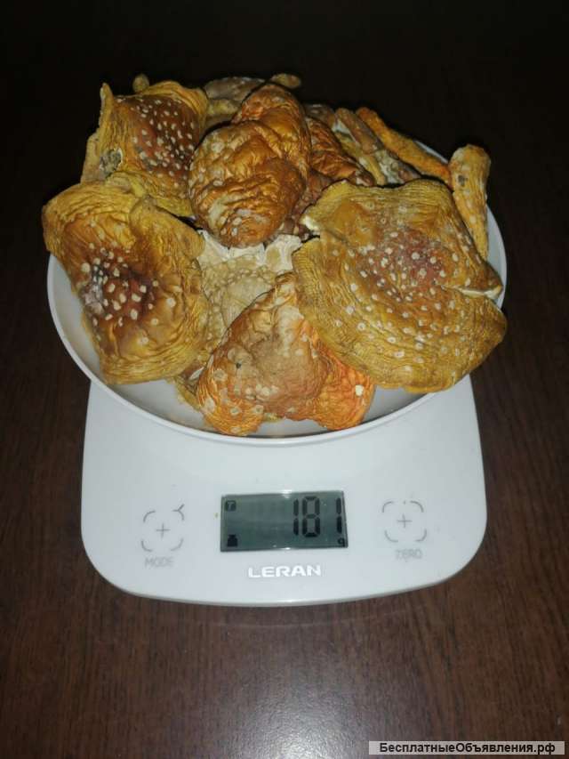 Мухомор красный